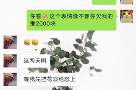 汕尾债务清欠服务